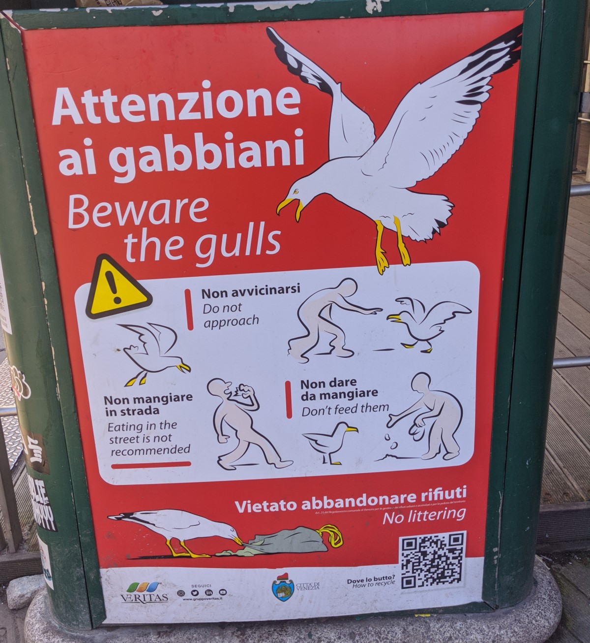 seagull warning in Venice